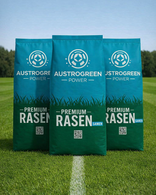 Rasensamen